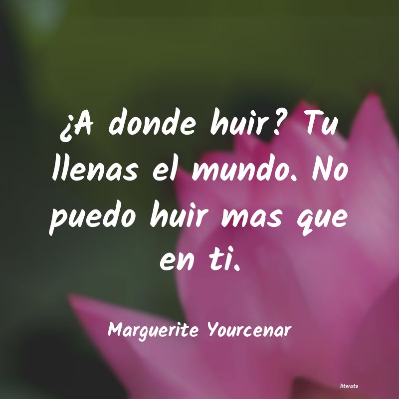 Frases de Marguerite Yourcenar