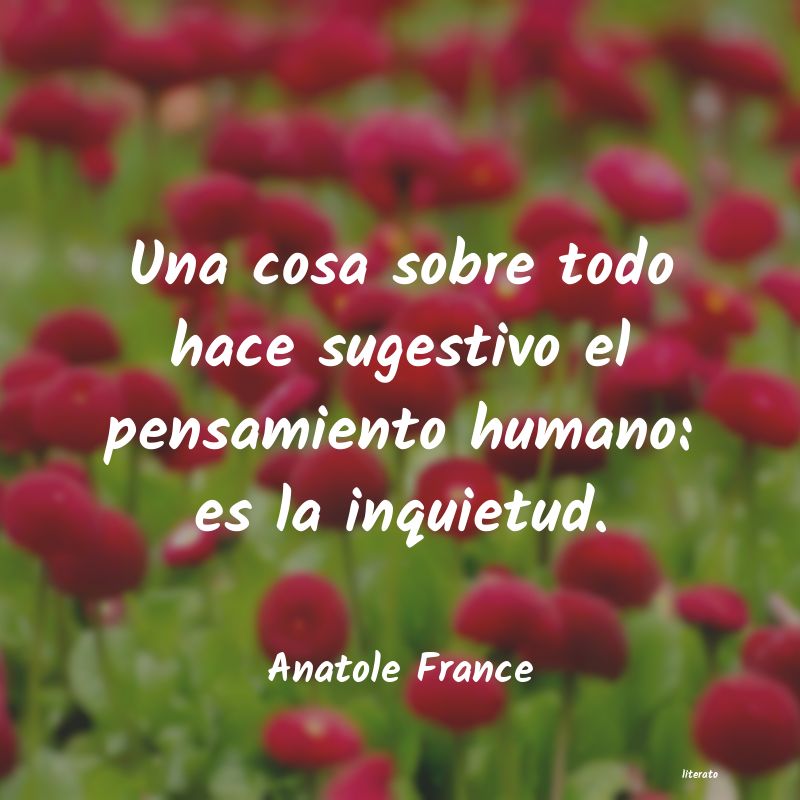 frases de Anatole France