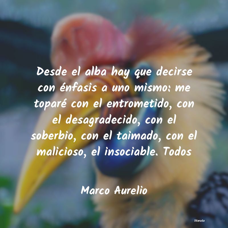 frases de Marco Aurelio