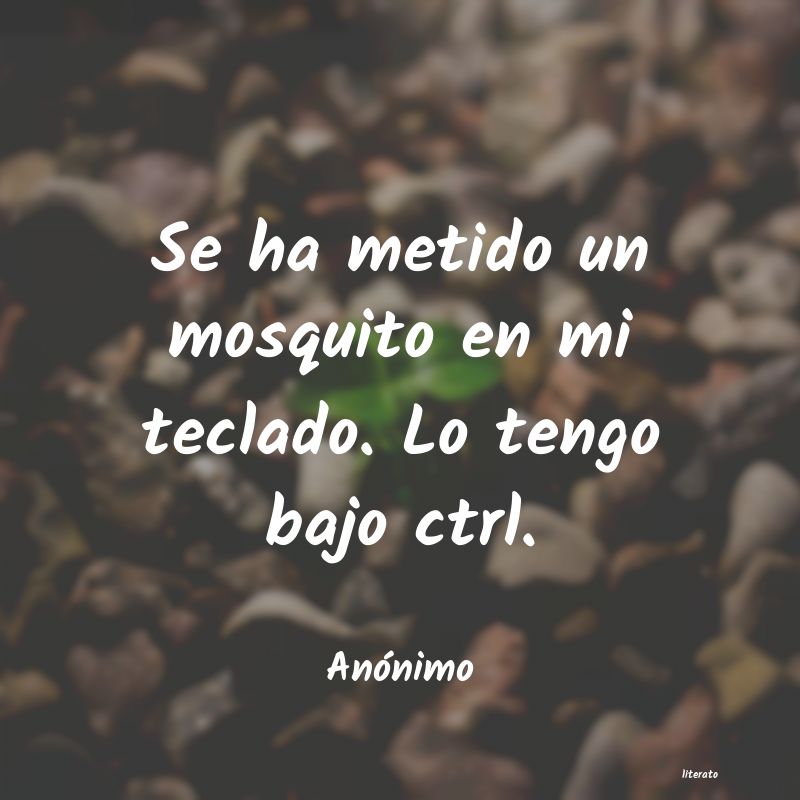 frases