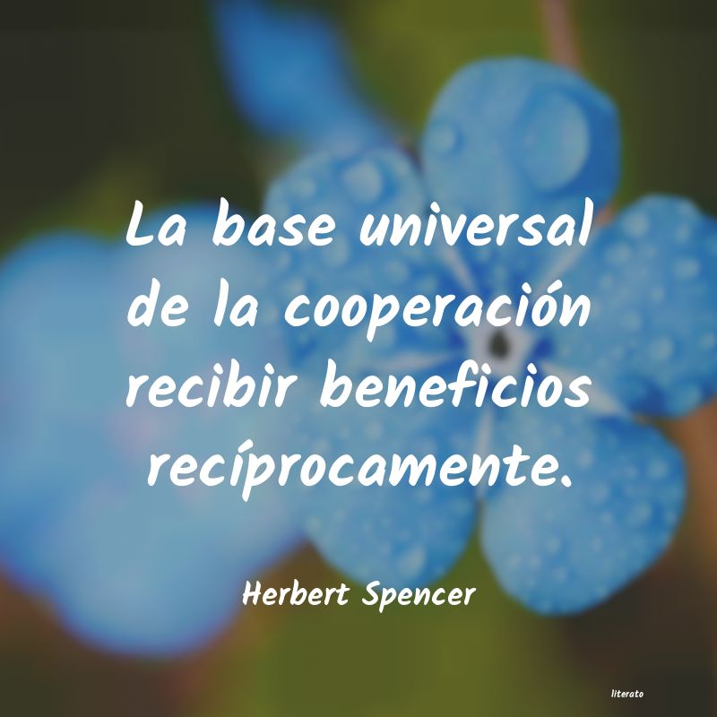 Frases de cooperacion - Literato