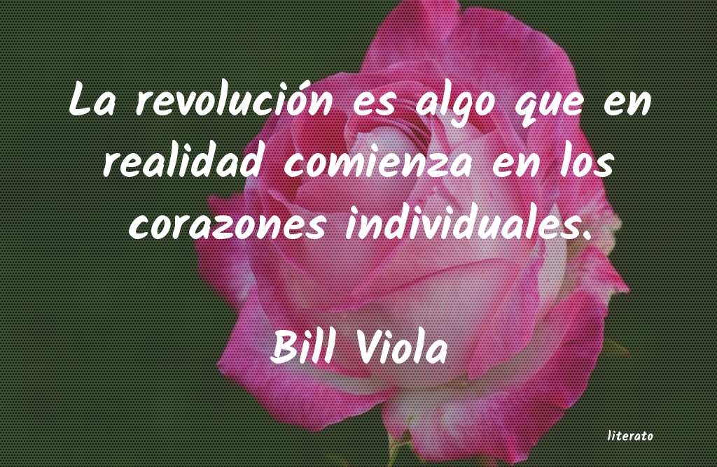Frases de Bill Viola