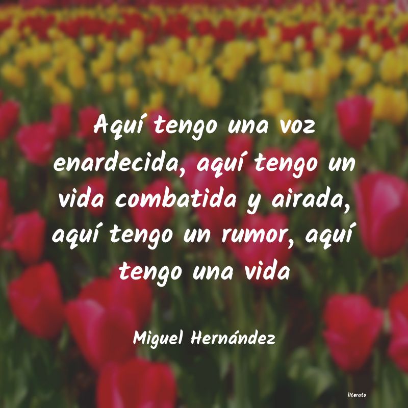 Frases de Miguel Hernández