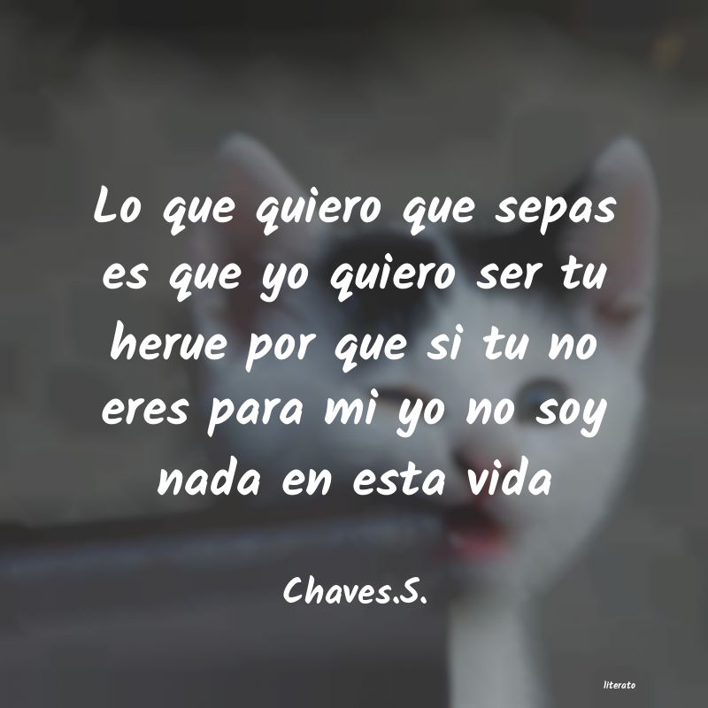 frases de Chaves.S.