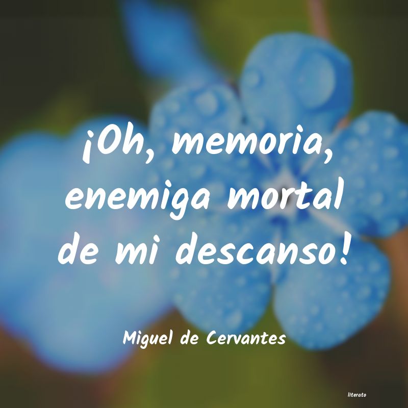 Frases de Miguel de Cervantes