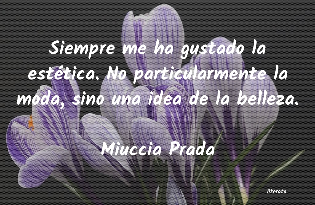 Frases de Miuccia Prada