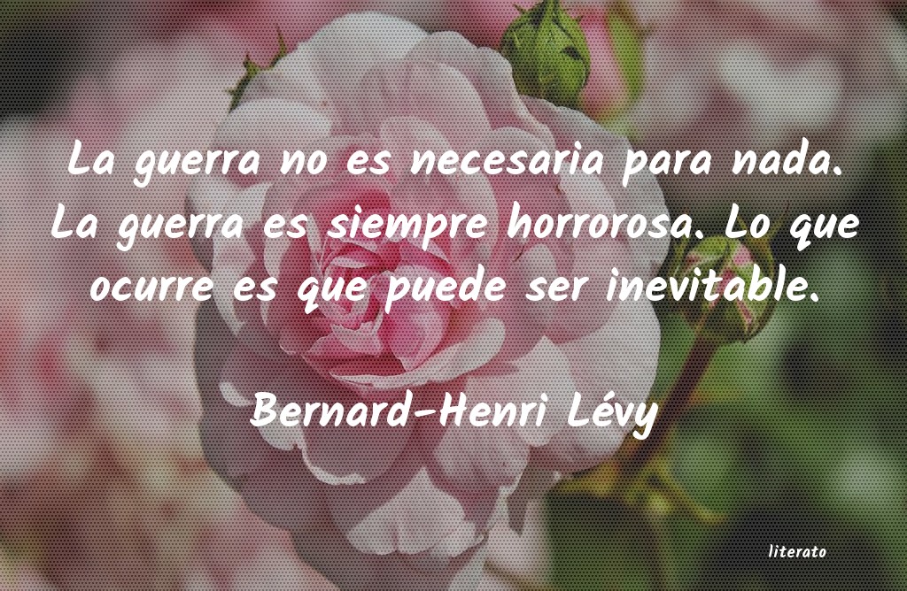 Frases de Bernard-Henri Lévy