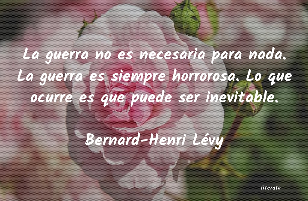 frases de Bernard-Henri Lévy