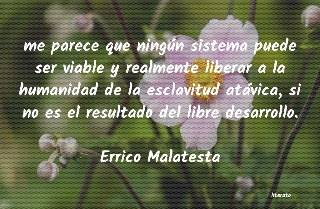 Frases de Errico Malatesta