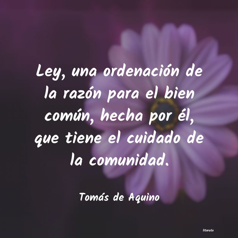 Frases de Tomás de Aquino