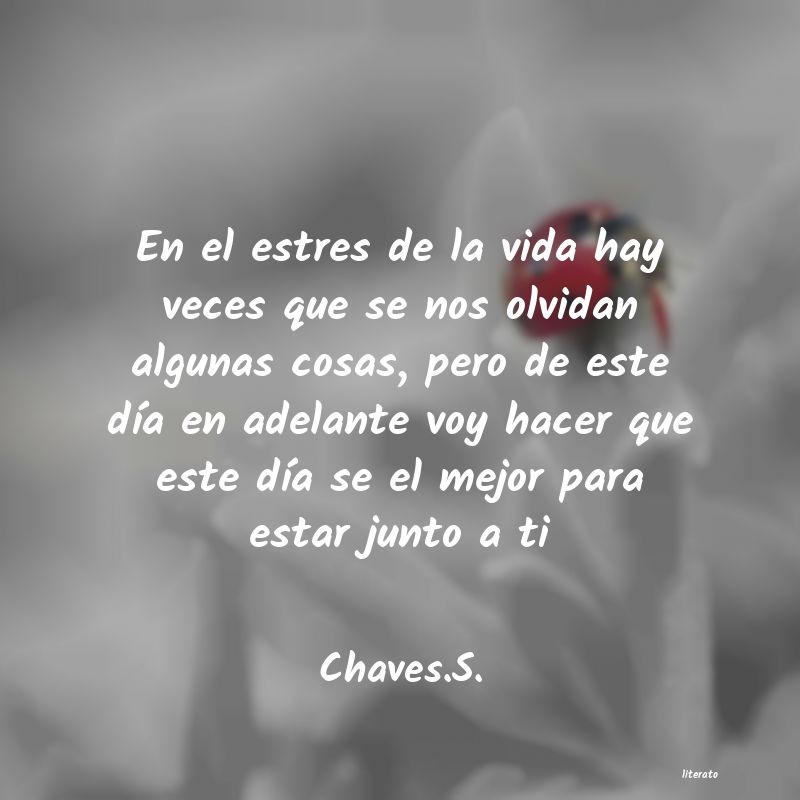 frases de Chaves.S.