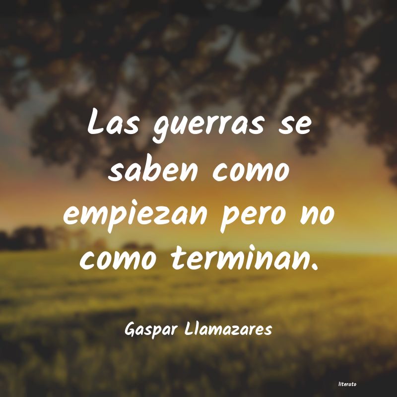 frases de Gaspar Llamazares