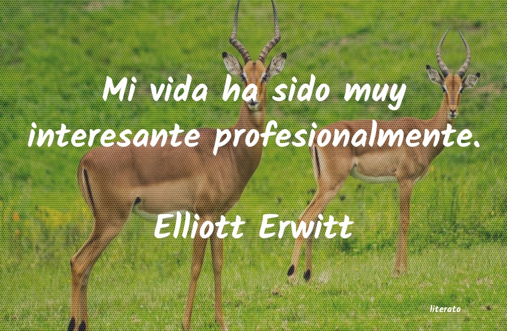 frases de Elliott Erwitt