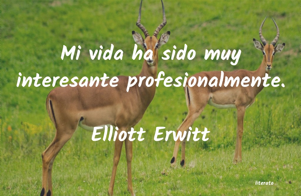 Frases de Elliott Erwitt