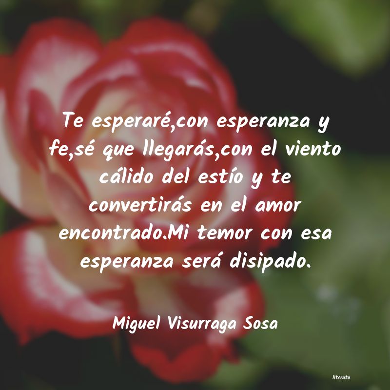 frases de Miguel Visurraga Sosa