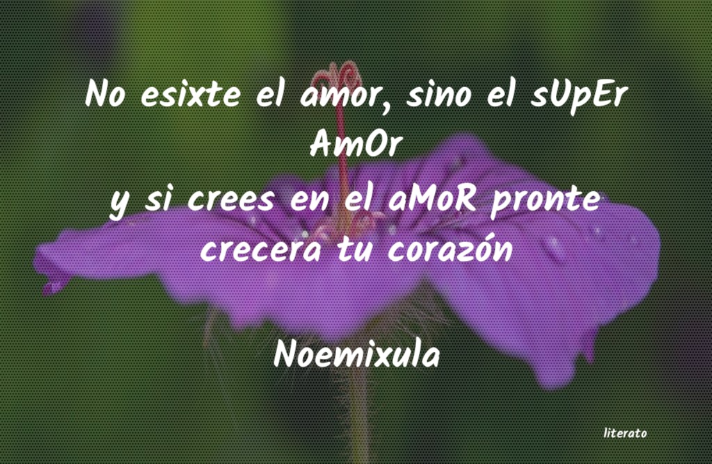frases de Noemixula