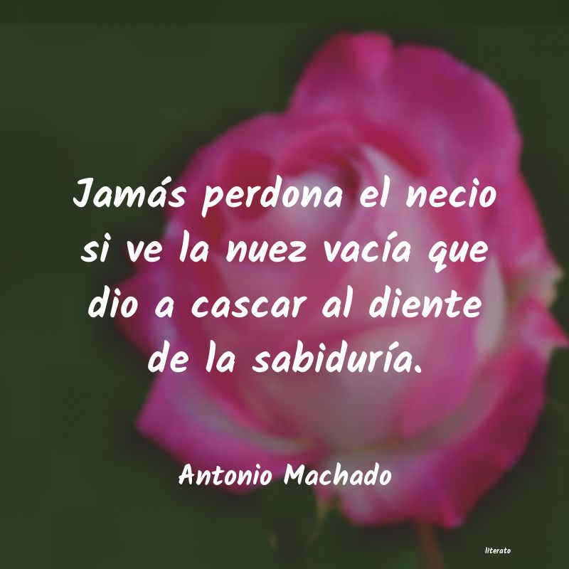 Frases de Antonio Machado