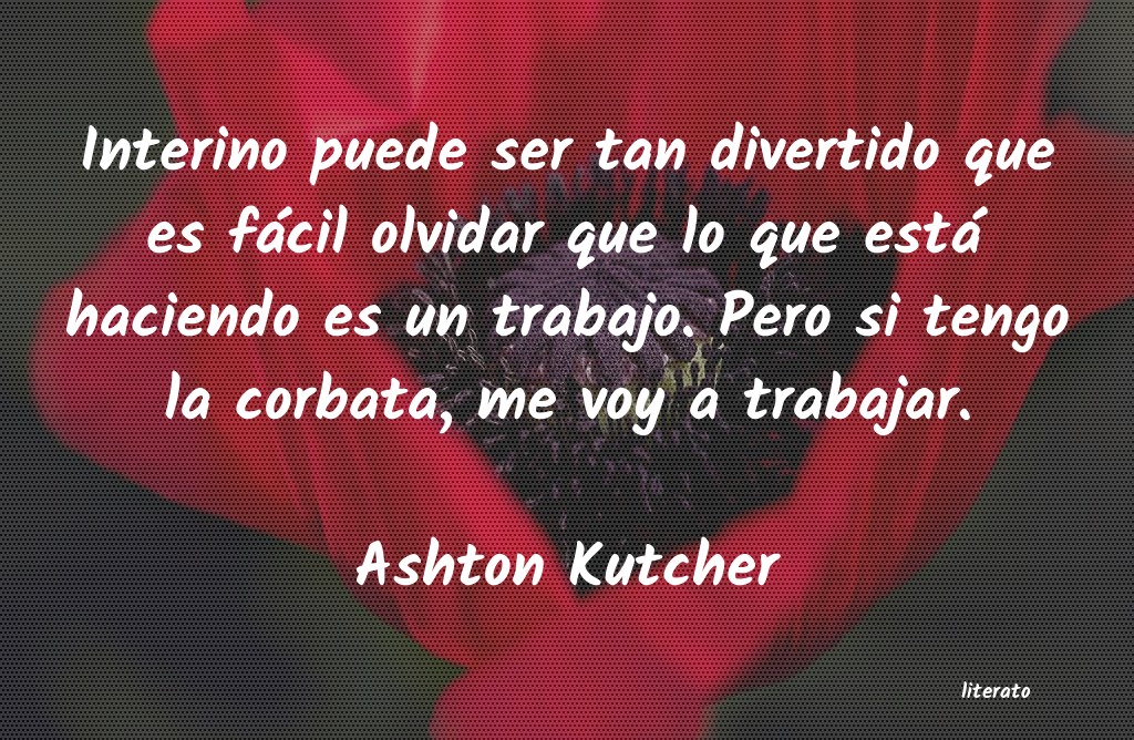 Frases de Ashton Kutcher