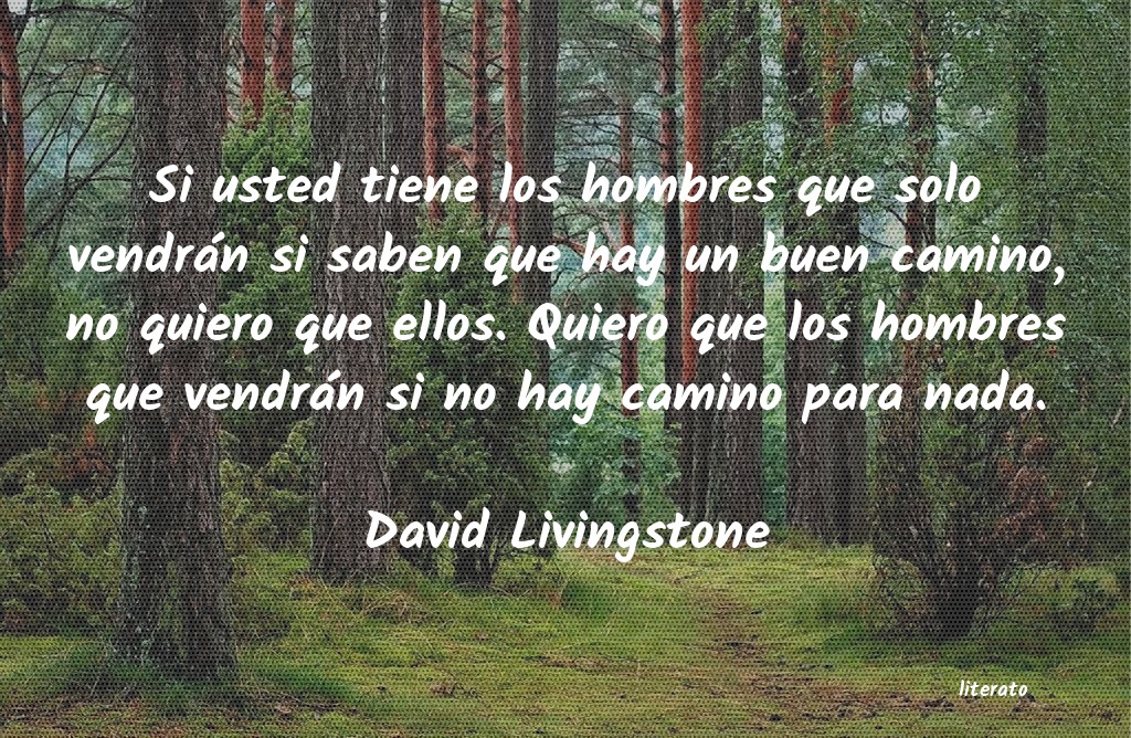 Frases de David Livingstone