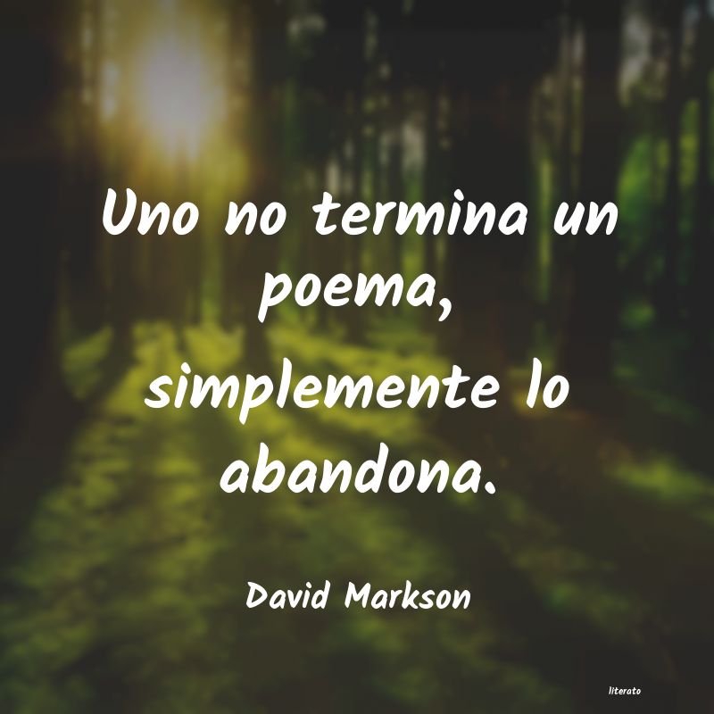 Frases de David Markson