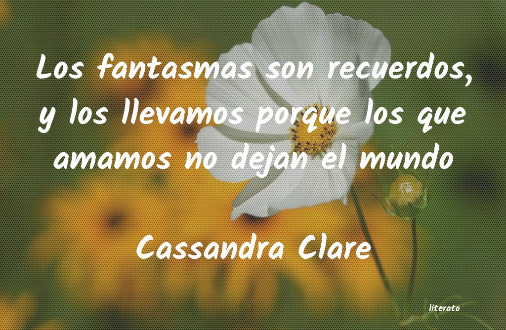 Frases de Cassandra Clare