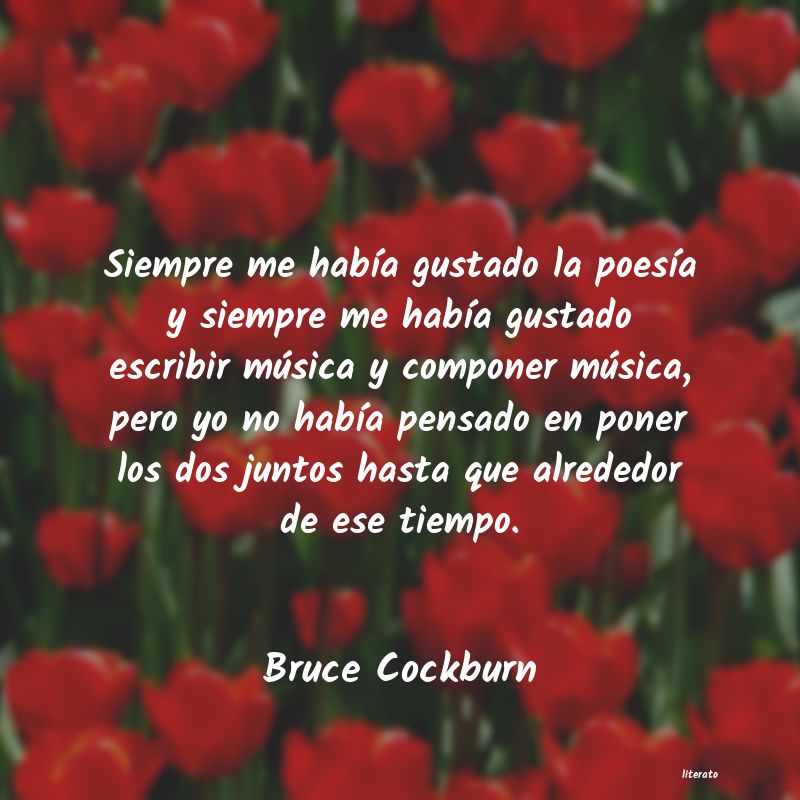 Frases de Bruce Cockburn