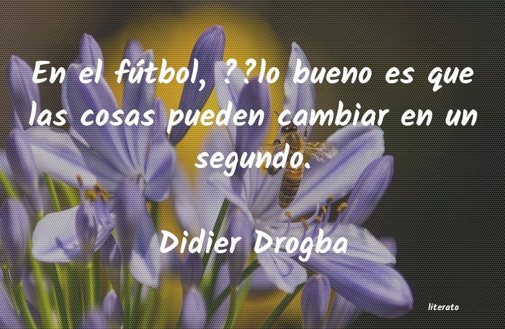 frases de Didier Drogba