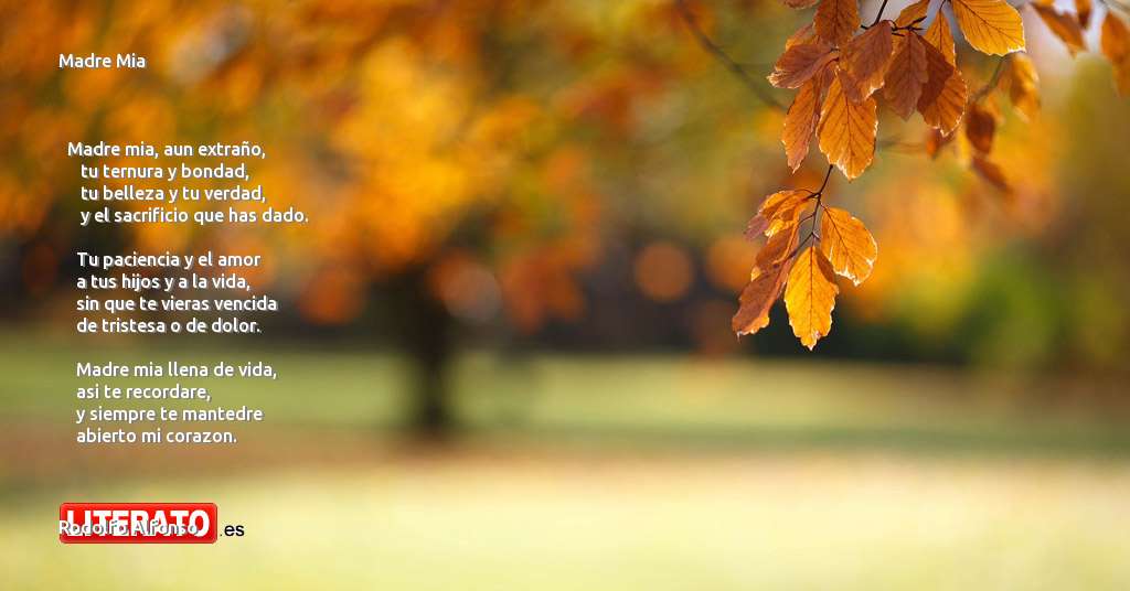 textos cortos que describe al amor