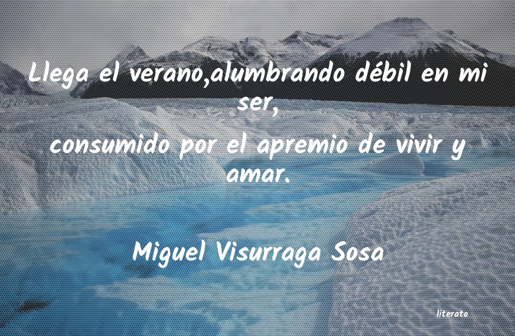 Frases de Miguel Visurraga Sosa