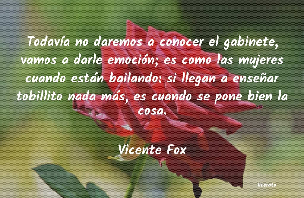 Frases de Vicente Fox