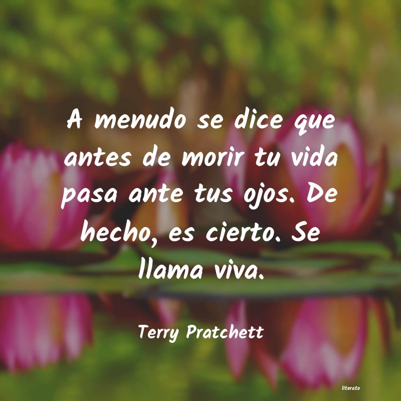 frases de Terry Pratchett