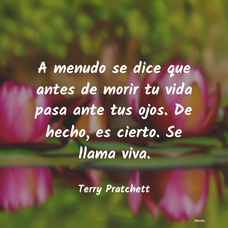 Frases de Terry Pratchett