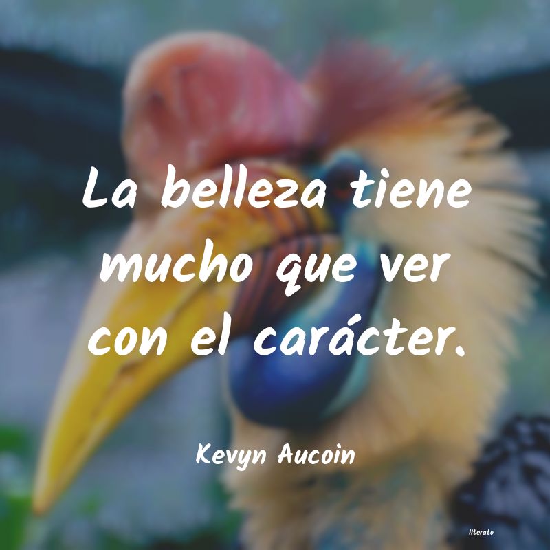 Frases de Kevyn Aucoin