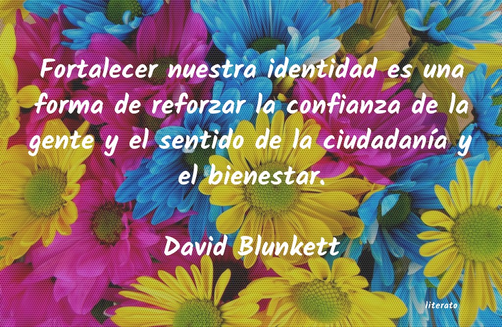 frases de David Blunkett