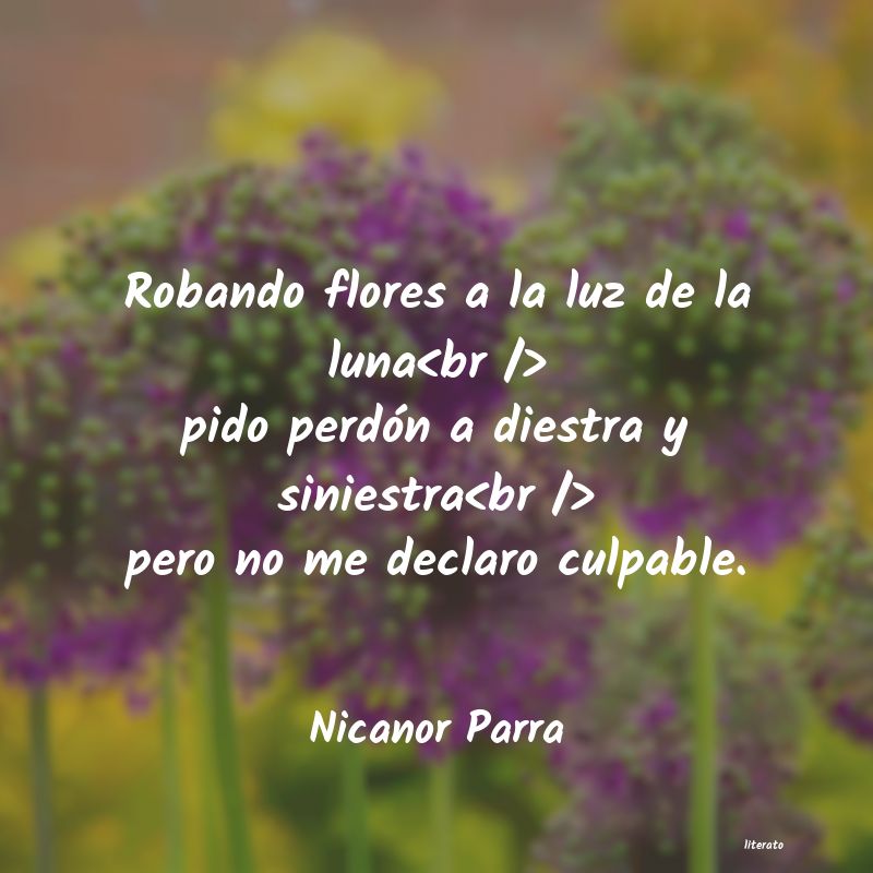 frases de Nicanor Parra