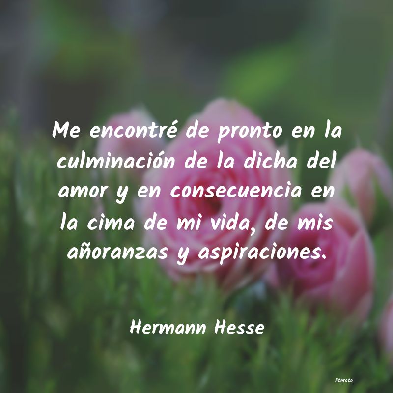 Frases de Hermann Hesse