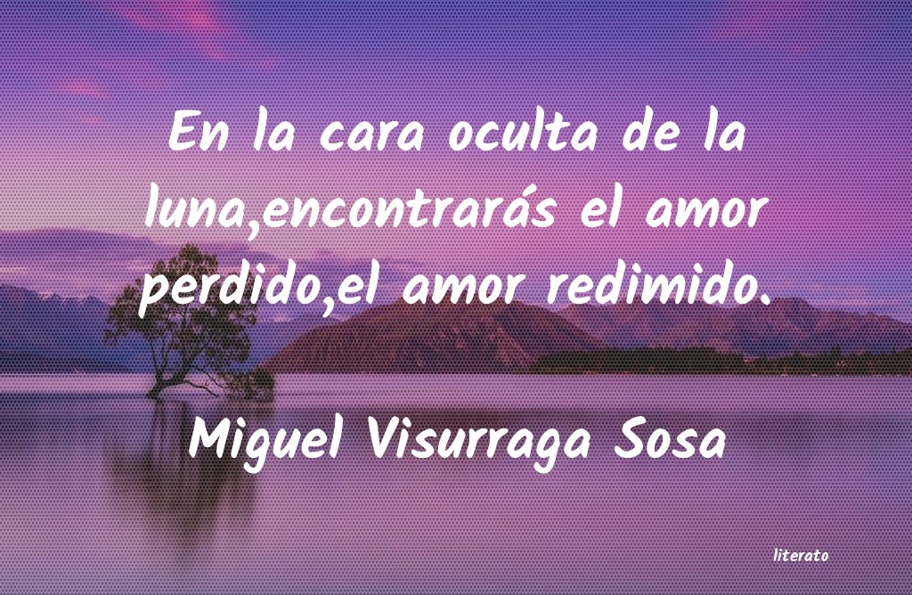 frases de Miguel Visurraga Sosa