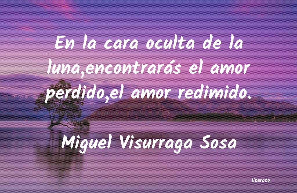 Frases de Miguel Visurraga Sosa