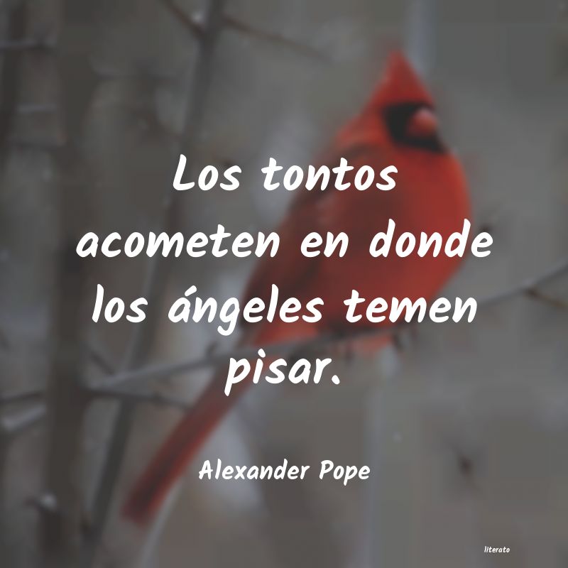 Frases de Alexander Pope