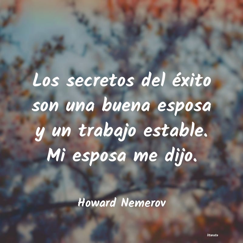 frases de Howard Nemerov