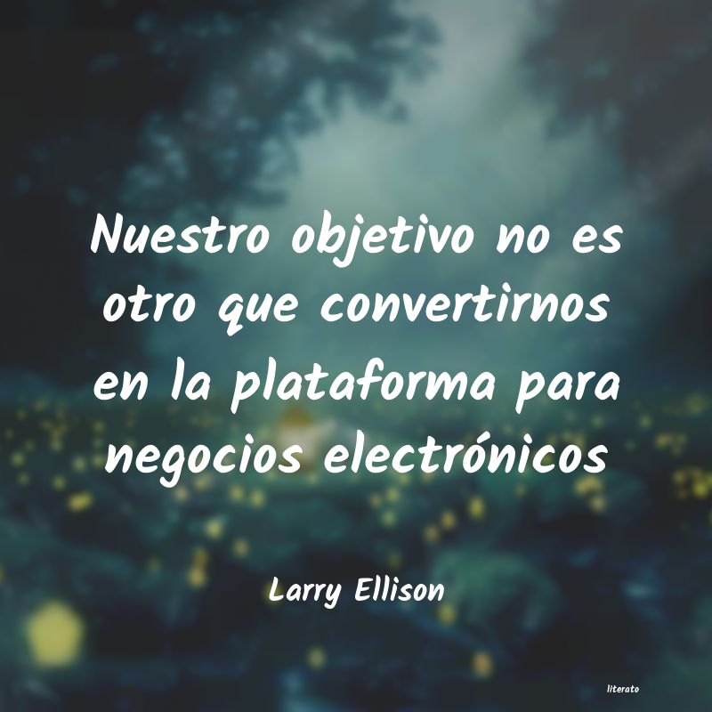 Frases de Larry Ellison