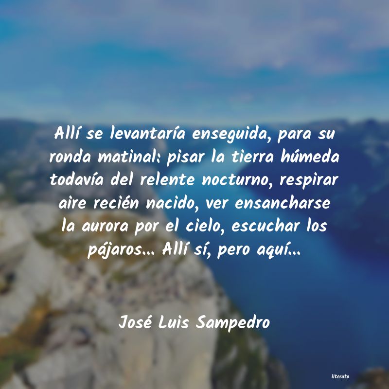 Frases de José Luis Sampedro