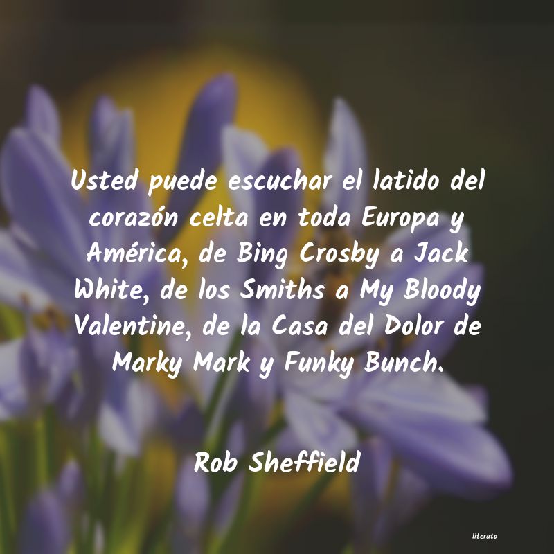 Frases de Rob Sheffield