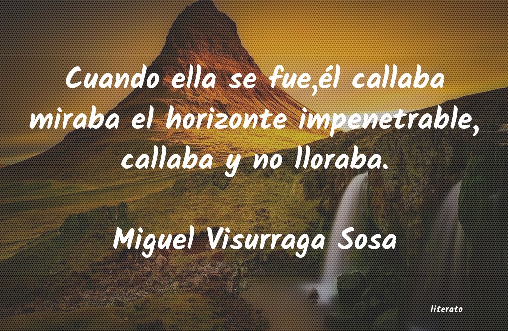 frases de Miguel Visurraga Sosa