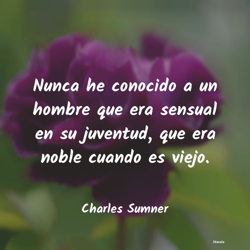 Frases de Charles Sumner