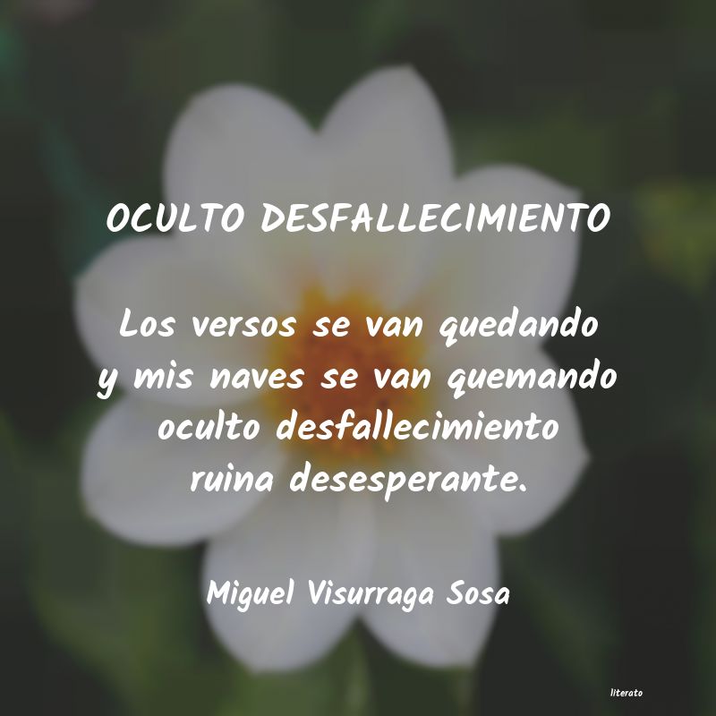 frases de Miguel Visurraga Sosa