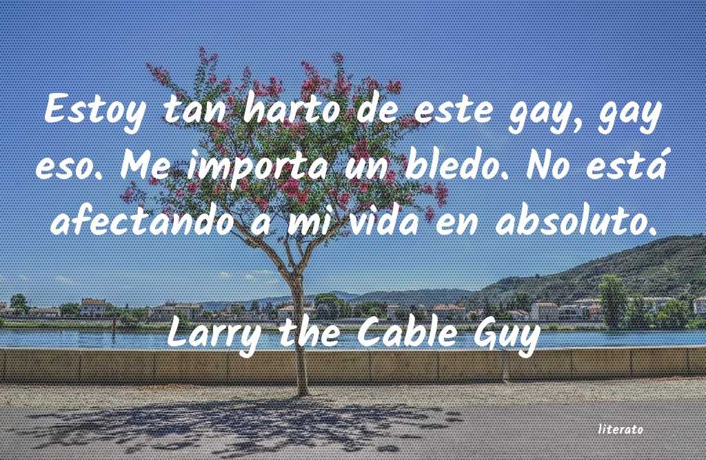 frases de Larry the Cable Guy