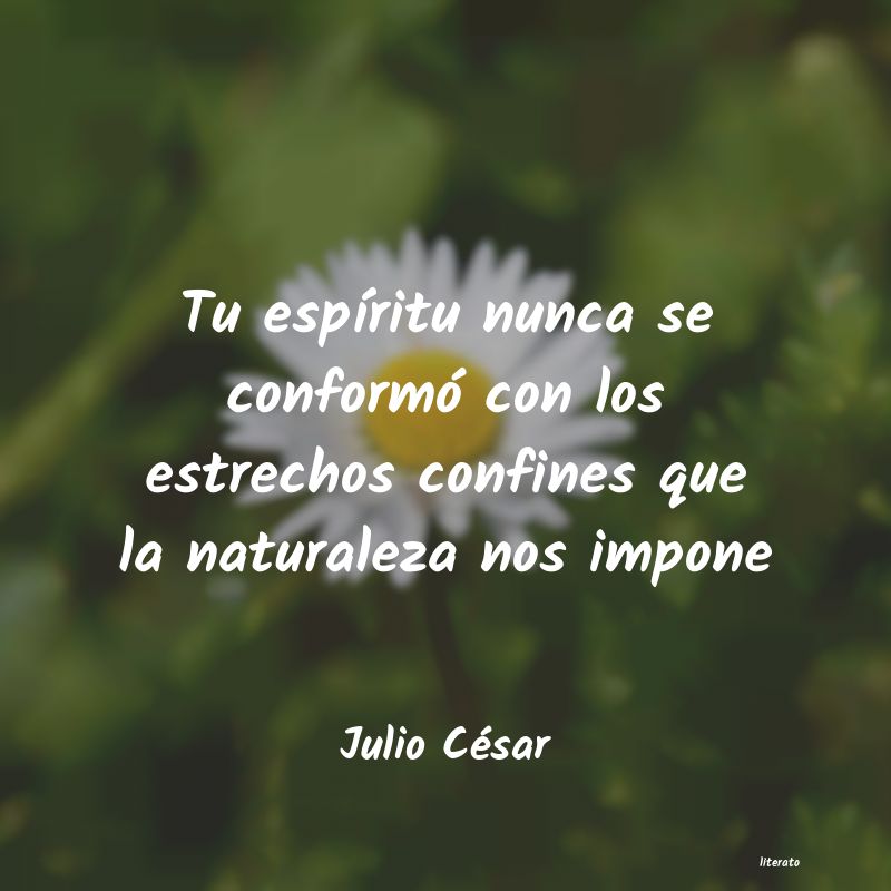 Frases de Julio César