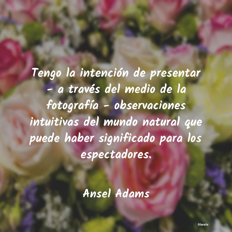 Frases de Ansel Adams