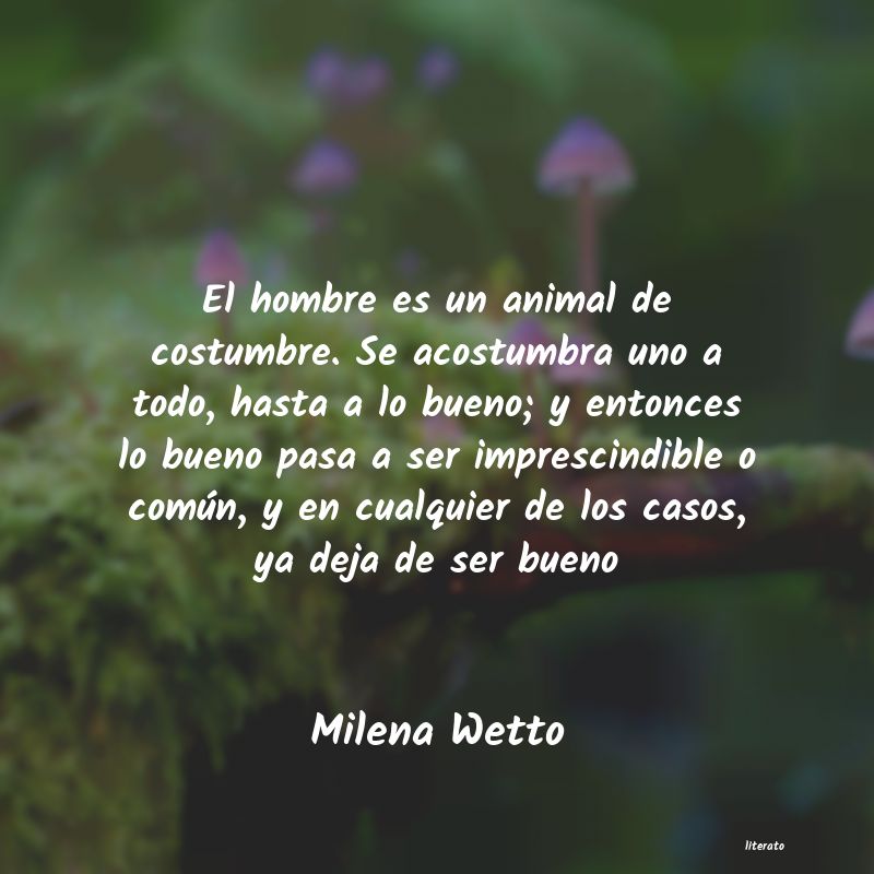 Frases de Milena Wetto